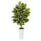 4ft. Variegated Rubber Leaf Tree In White Tower Vase